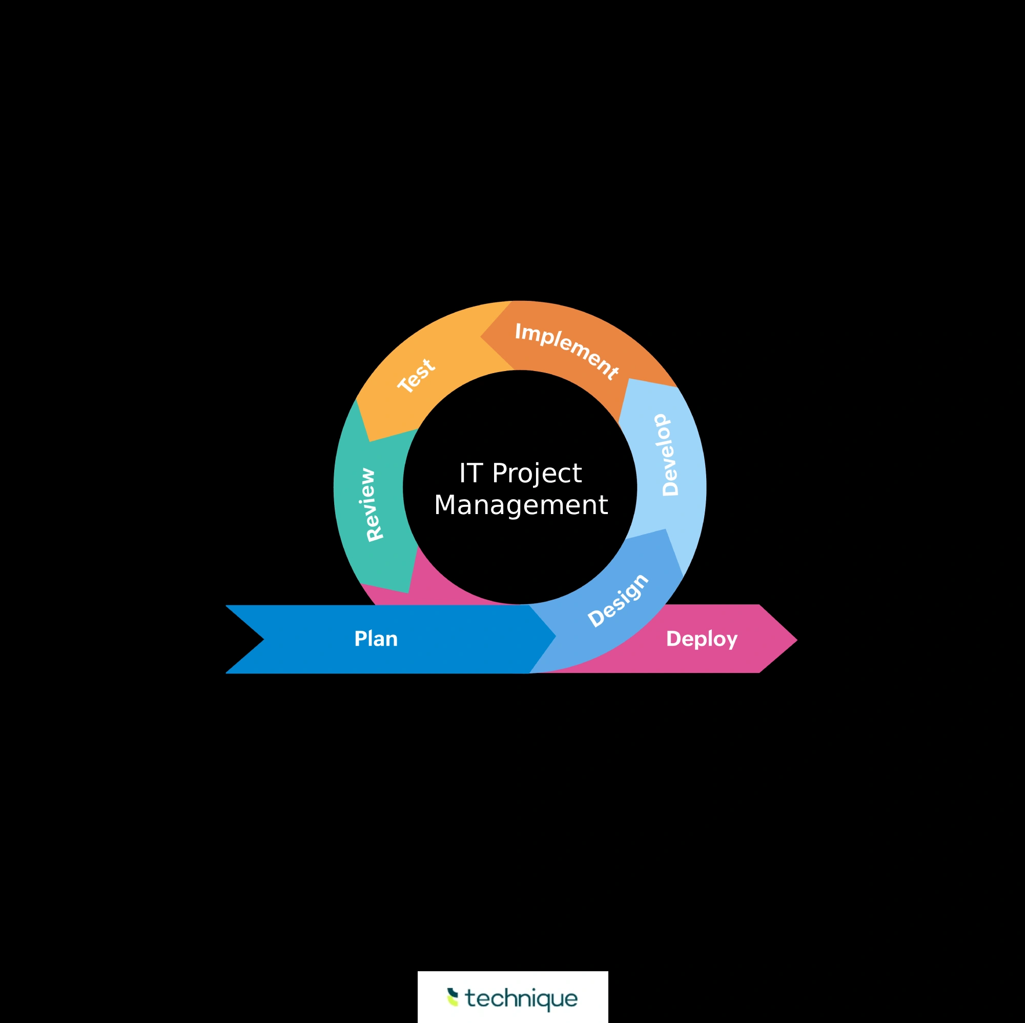 IT Project Management